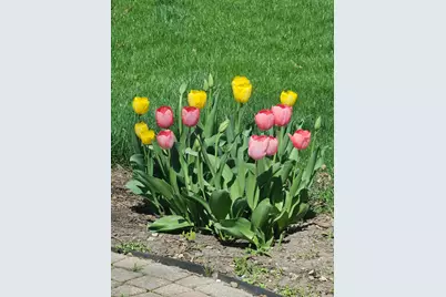 4 Athens Court, Vernon Hills, IL 60061 - Photo 35