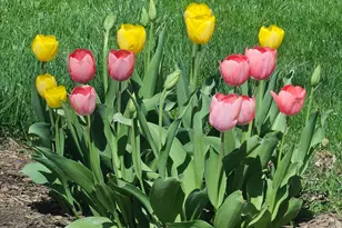 4 Athens Ct, Vernon Hills, IL 60061 - Photo 35