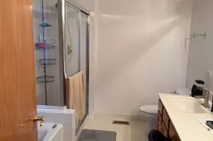 11436 S Magnolia Ln, Alsip, IL 60803 - Photo 21