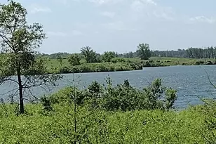 1803 Rizzi Ln, Bartlett, IL 60103 - Photo 41