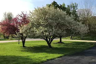 39W228 W Hilltop Dr, Saint Charles, IL 60175 - Photo 35