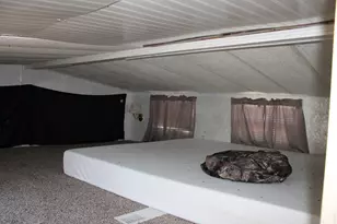 375 E County Rd, Mineral, IL 61344 - Photo 23