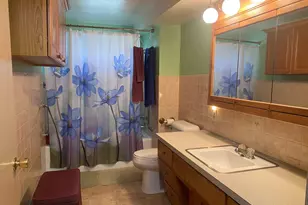 9 Helen St, Streator, IL 61364 - Photo 21