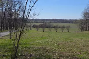 25014 Fayville Rd, Thebes, IL 62990 - Photo 7