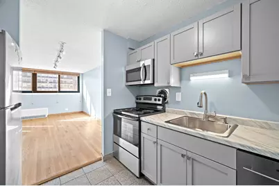 30 E Division Street #14C, Chicago, IL 60610 - Photo 9