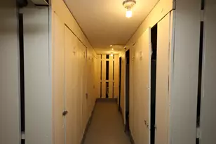 10115 Old Orchard Ct, Skokie, IL 60076 - Photo 13