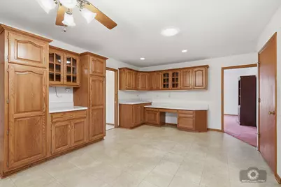 24711 S Sycamore Street, Elwood, IL 60421 - Photo 9