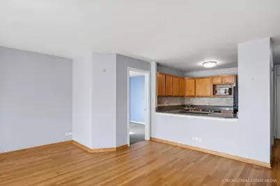 525 W Hawthorne Place #1001, Chicago, IL 60657 - Photo 9