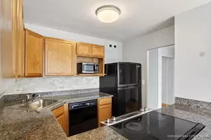 525 W Hawthorne Pl, Chicago, IL 60657 - Photo 3