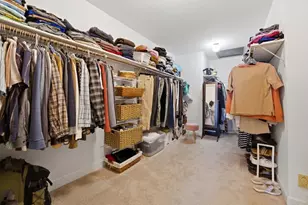 24346 S Timberline Trail, Crete, IL 60417 - Photo 19