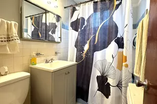 6141 N Seeley Ave, Chicago, IL 60659 - Photo 9