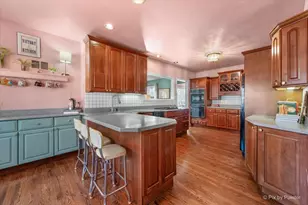 507 S Hi Lusi Ave, Mount Prospect, IL 60056 - Photo 11