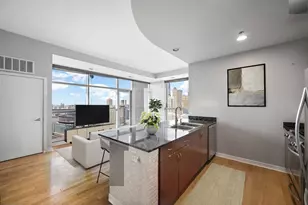 303 W Ohio St, Chicago, IL 60654 - Photo 5