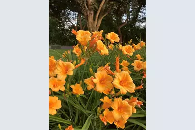 1740 Idlewild Lane, Homewood, IL 60430 - Photo 33