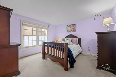 427 S Sleight Street, Naperville, IL 60540 - Photo 17