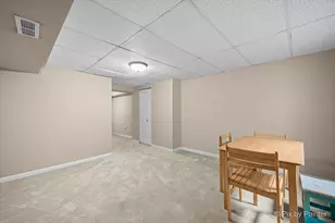 3218 Blackhawk Trail, Saint Charles, IL 60174 - Photo 33