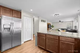 238 Norfolk Ln, Pingree Grove, IL 60140 - Photo 11