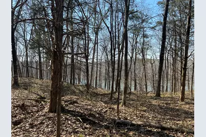 Lot 139 Cherry Point, Orangeville, IL 62939 - Photo 5