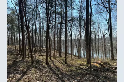 Lot 139 Cherry Point, Orangeville, IL 62939 - Photo 11