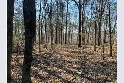 Lot 139 Cherry Point, Orangeville, IL 62939 - Photo 3