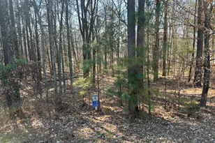 Lot 139 Cherry Point, Orangeville, IL 62939 - Photo 1