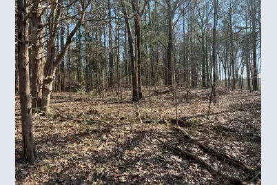 Lot 139 Cherry Point, Orangeville, IL 62939 - Photo 7