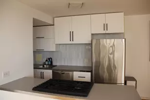 3950 N Lake Shore Dr, Chicago, IL 60613 - Photo 5