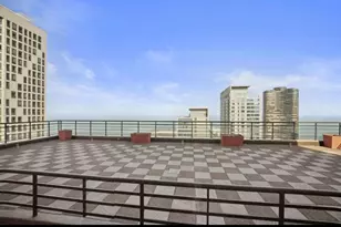 401 E Ontario St, Chicago, IL 60611 - Photo 29