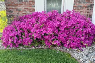 106 Chase Ln, Marion, IL 62959 - Photo 49