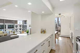 1310 N Ritchie Ct, Chicago, IL 60610 - Photo 13