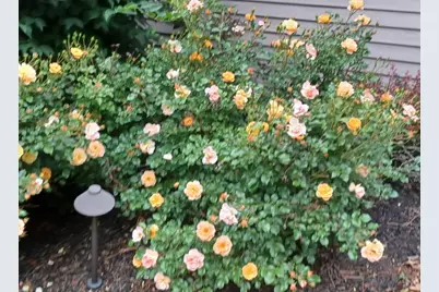 871 Brandt Drive, Lake in the Hills, IL 60156 - Photo 17