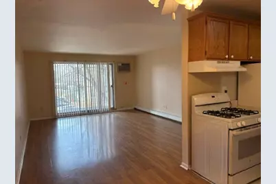 8901 N Western Avenue #203, Des Plaines, IL 60016 - Photo 3