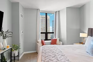 [Address not provided], Chicago, IL 60654 - Photo 13