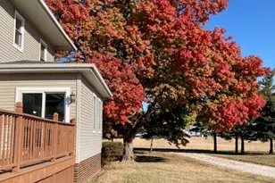 29679 Lagoon Rd, Minier, IL 61759 - Photo 53