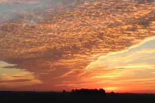 29679 Lagoon Rd, Minier, IL 61759 - Photo 55