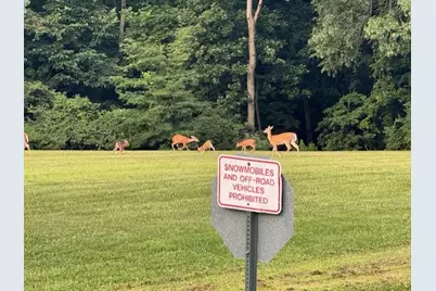 20 Chairtree Court, Putnam, IL 61560 - Photo 59