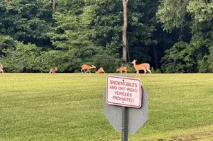 20 Chairtree Ct, Putnam, IL 61560 - Photo 59