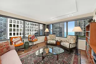 247 E Chestnut St, Chicago, IL 60611 - Photo 13