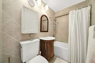 247 E Chestnut St, Chicago, IL 60611 - Photo 19