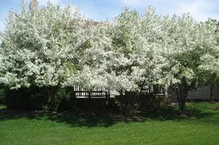 182 Ashfield Ct, Bloomingdale, IL 60108 - Photo 41