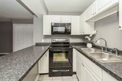 20 Saint Thomas Colony #7, Fox Lake, IL 60020 - Photo 9