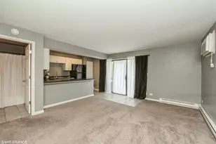 20 Saint Thomas Colony, Fox Lake, IL 60020 - Photo 5