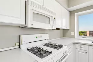 3303 Grove Ave, Berwyn, IL 60402 - Photo 21