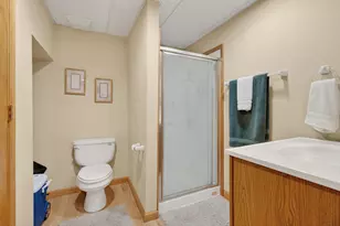 113 Woodlet Ln, Bolingbrook, IL 60490 - Photo 59