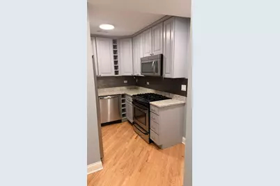 904 W Winona Street #G, Chicago, IL 60640 - Photo 17