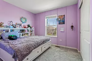 804 Feeney Dr, Minooka, IL 60447 - Photo 27