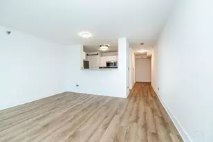 345 N La Salle Dr, Chicago, IL 60654 - Photo 27