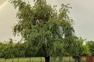 2110 Silver Leaf Dr, Island Lake, IL 60042 - Photo 37