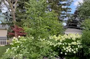 241 Lincoln St, Glenview, IL 60025 - Photo 33