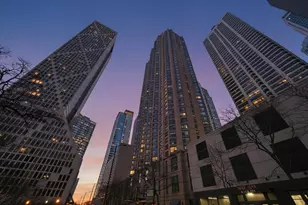 401 E Ontario St, Chicago, IL 60611 - Photo 21